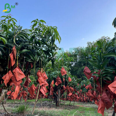 56g papel vermelho e preto de cera de lado único para saco de cultivo de manga, papel de proteção de frutas resistente às intempéries