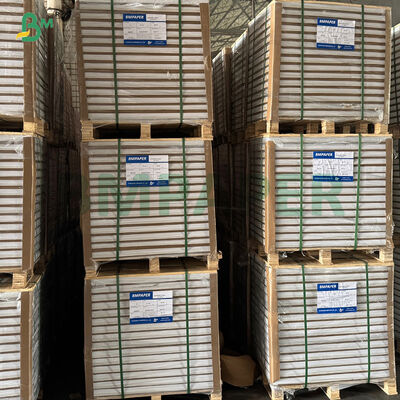 Papel para Cupcake Muffin Branco Impermeável a Gordura Amarelo Verde para Cozer