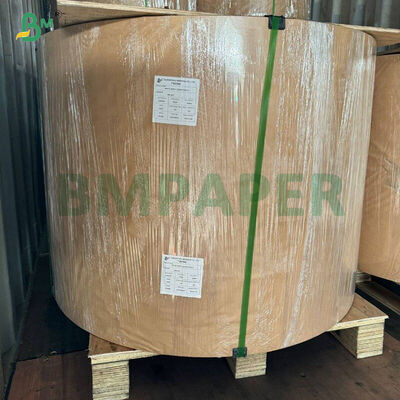 Papel para Cupcake Muffin Branco Impermeável a Gordura Amarelo Verde para Cozer