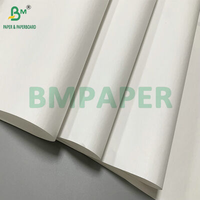 Papel Térmico Jumbo de 48gsm 640mm Para Etiqueta Adesiva de Cartão