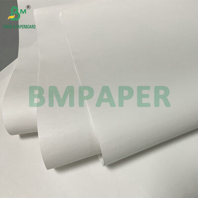 Papel Térmico Jumbo de 48gsm 640mm Para Etiqueta Adesiva de Cartão