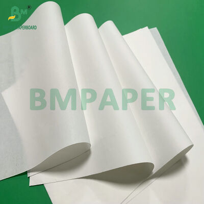 Papel Bíblia Branco Creme de Alta Opacidade 28gsm 30gsm para Dicionários e Livros de Referência