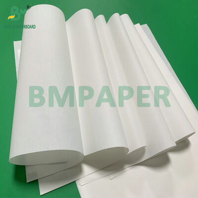 Papel Bíblia Branco Creme de Alta Opacidade 28gsm 30gsm para Dicionários e Livros de Referência