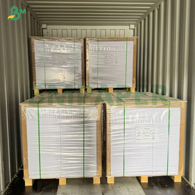 Rolo de papel de uma face brilhante 70 GSM branco molhado - resistência para rótulo de cerveja