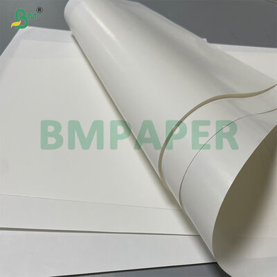 Rolo de papel de uma face brilhante 70 GSM branco molhado - resistência para rótulo de cerveja
