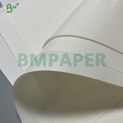 Rolo de papel de uma face brilhante 70 GSM branco molhado - resistência para rótulo de cerveja