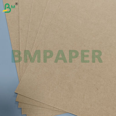 Folhas de papel para tigela de alta rigidez com revestimento de PE de 190gsm+10gsm
