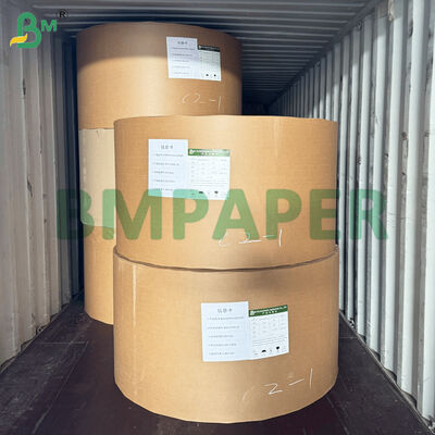 PET revestimento papel de prato de jantar material papel de bandeja de alimentos de cor branca