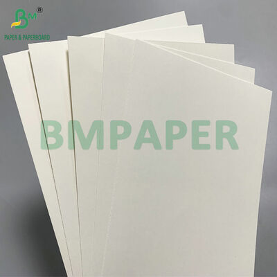 Papel Kraft Natural PE Revestido Biodegradável de 210 GSM para Copos Frios - Compostável