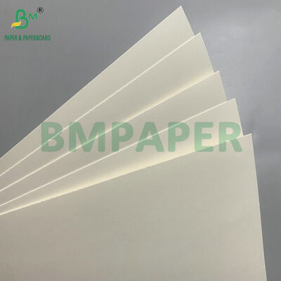 Papelão biodegradável e seguro para microondas para fazer tigelas descartáveis para salada