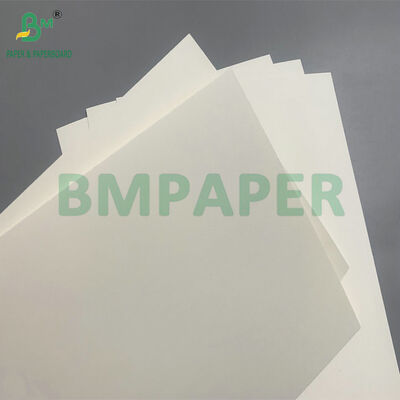 Papelão biodegradável e seguro para microondas para fazer tigelas descartáveis para salada