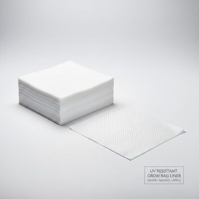 Resistente ao UV Grape Mango Apple Grow Sacking Paper Liner de camada interna