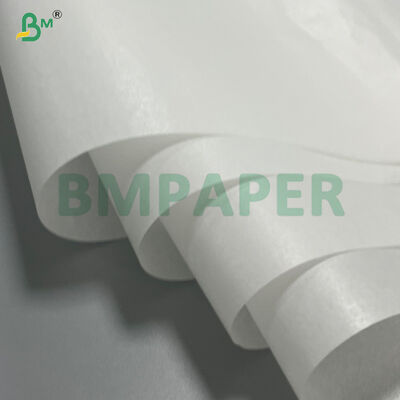 Papel de Silicone Dupla Face Resistente a Altas Temperaturas para Air Fryers