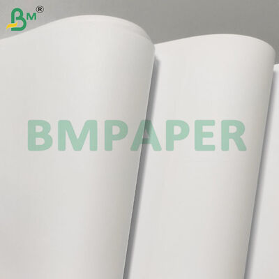 Rolos Jumbo de Papel Sem Madeira 70/80gsm para Cadernos