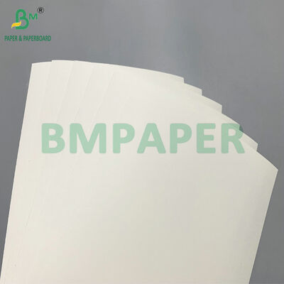 High Stiffness Food Grade C1S PE Coated 190gsm 210gsm Cup Paper Roll for Disposable Coffee Cups