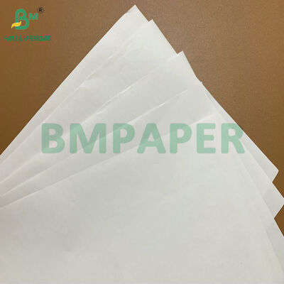 Alta Durabilidade Rolos de Papel Térmico de 48 gm e 55 gm