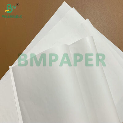 Alta Durabilidade Rolos de Papel Térmico de 48 gm e 55 gm