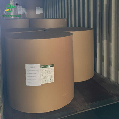 Cartão CCNB de 250gsm 300gsm 350gsm 400gsm para Embalagem de Alimentos Congelados