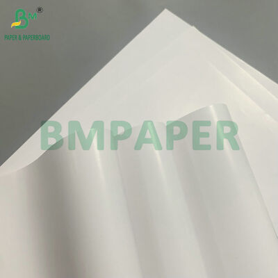 Papel Cobre Simples Revestido Brilhante em Um Lado de 60gsm a 400gsm para Aplicações de Embalagem e Rótulos