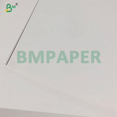 Cartão Blister Revestido de Um Lado Branco 400gsm para Embalagem 635 x 940mm