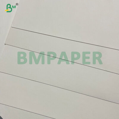 Papel laminado PE alto da rigidez para a bacia quente descartável do macarronete de sopa imprimível