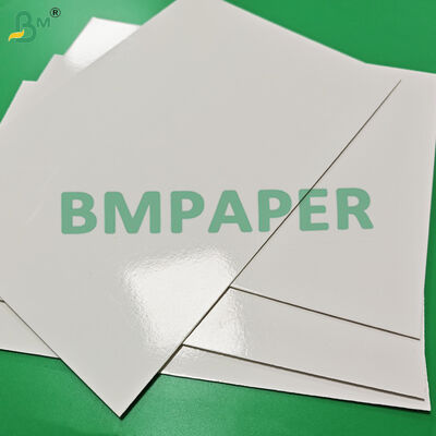 295gm + 15g PE Freezer Paper Board Para bandejas de refeições congeladas Alta resistência à ruptura