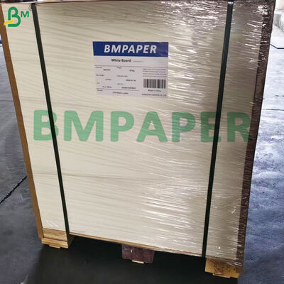 Papel de linha de absorção para embalagens de copos e tapetes de cerveja