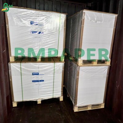 Papel de linha de absorção para embalagens de copos e tapetes de cerveja