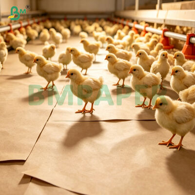 papel antiderrapante da cama 75g absorvente para a incubação das aves aquáticas do pintainho