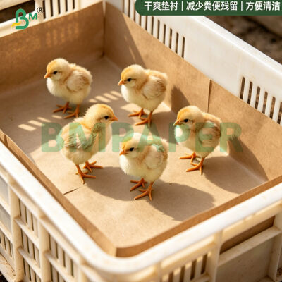 Papel de frango castanho de 75 gm 100% de papel biodegradável reciclado de roupa de cama de aves de capoeira para incubadoras