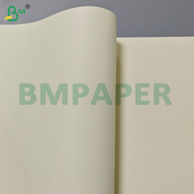 80gm Livro de cores de creme Papel rolos 715mm Largura para impressão