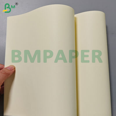 80gm Livro de cores de creme Papel rolos 715mm Largura para impressão