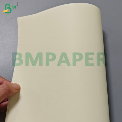 80gm Livro de cores de creme Papel rolos 715mm Largura para impressão
