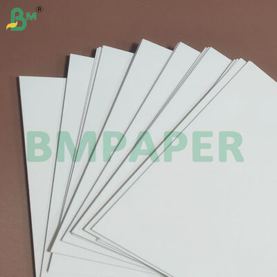 Folhas de papel de estoque de tigela revestida de PE 275gsm+10gsm para tigela de macarrão