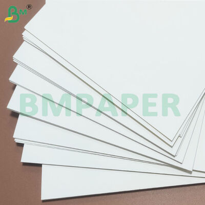 Folhas de papel de estoque de tigela revestida de PE 275gsm+10gsm para tigela de macarrão