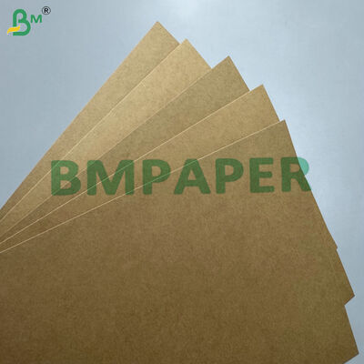 Grease & Leakproof PE PP Coated 300–330gsmFood Container Paperboard for Takeaway Boxes Trays & Lunch Box Production