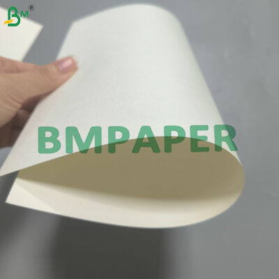 Cartolina para copos com base de água revestida unilateralmente, sem plástico, 170-320g, branca
