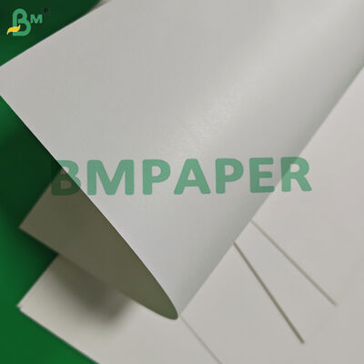 Papel para copos com revestimento único de 170gsm 190gsm à base de água, compostável, 650mm