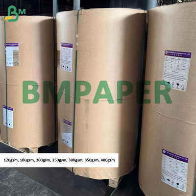 Papel Kraft Branco 250gsm 300gsm Para Etiquetas Penduradas em Rolos Jumbo, Superfície Áspera