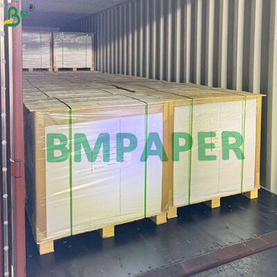 Cartão de papel revestido de PET resistente ao calor para copos e tigelas com capacidade para forno