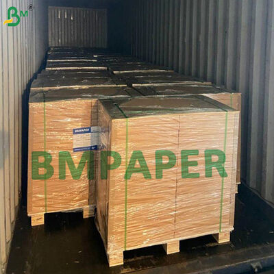 0.4 mm - 2 mm Papel de base absorvente para revestimentos de vedação de tampa de garrafa PE de um lado