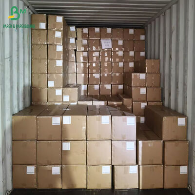 Non Stick Bleached Parchment Paper Slitted Rolls 35gr 38gr 40gr for Oven Baking