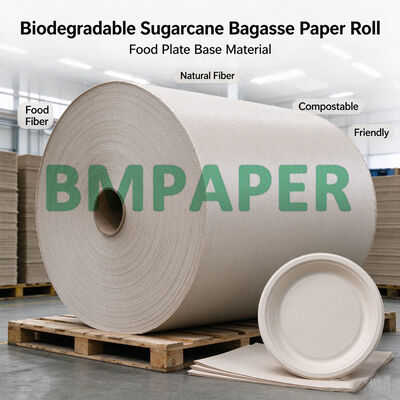 Rolo de Papel de Bagunça de Cana-de-Açúcar Biodegradável de 80g-300g Para Fazer Prato de Comida