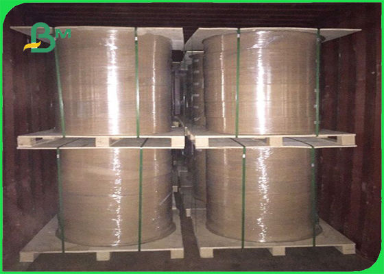 Do PE habilitado do óleo e do impermeabilizante do FSC papel revestido nas folhas e no Rolls