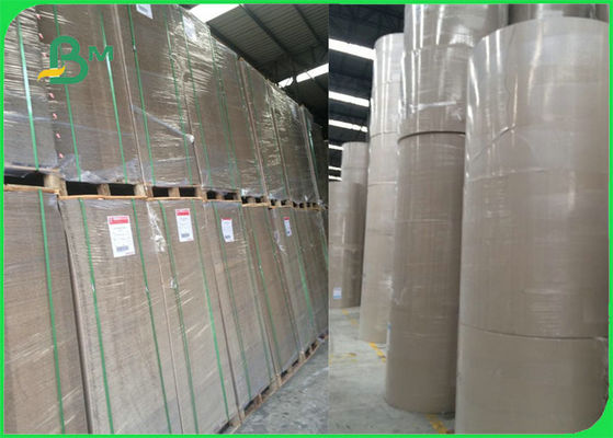 Folhas diferentes da placa do emperramento de livro do cartão da cor do FSC para o arquivo do arco da alavanca