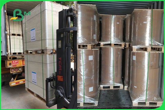 O marfim do FSC FDA 300gsm um lado revestiu o papel do PE GC1 da placa branca para a bacia de papel