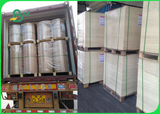 Papel resistente ao calor seguro certificado FSC do cozimento do alimento de FDA para a grade que cozinha o BBQ