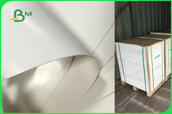 O papel revestido personalizado do único PE lateral para as placas descartáveis FSC FDA aprovou