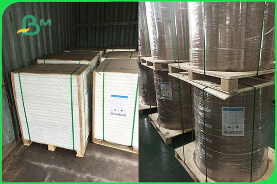 O papel revestido personalizado do único PE lateral para as placas descartáveis FSC FDA aprovou