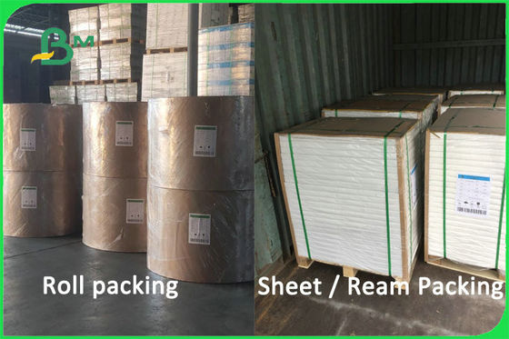 Material 100% sem revestimento biodegradável do copo de papel da polpa do Virgin 170 - 300gsm FDA FSC